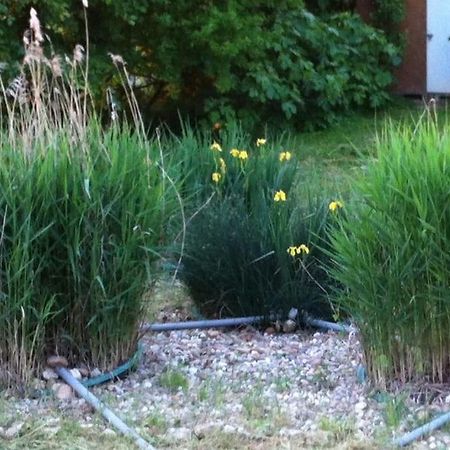 Marzens Appartement Neuf & Ecologique A La Campagne מראה חיצוני תמונה